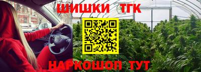 молекула духа Донецк
