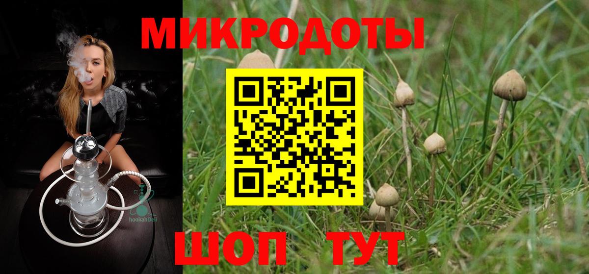 Псилоцибиновые грибы мухоморы  Галлюциногенные грибы прущие грибы  Луга  Вход с VPN 